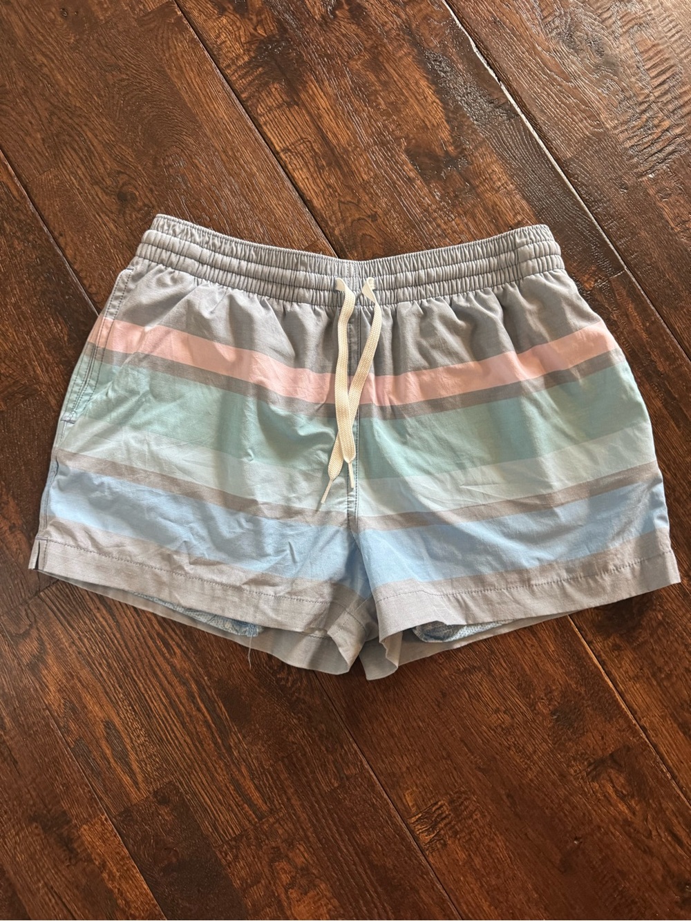 Chubbies Pastel Striped Drawstring Swim Shorts - Light Blue, Light Green & Pink